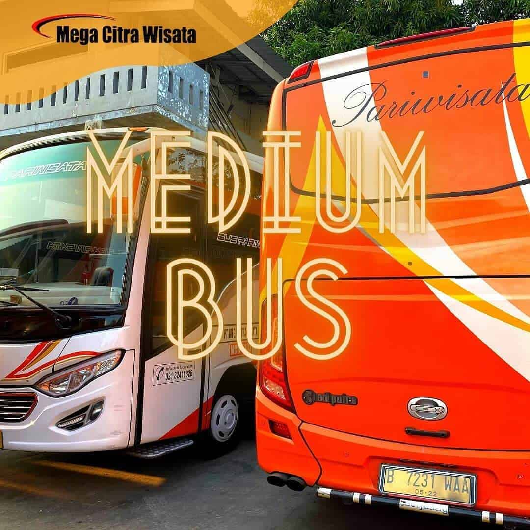 Bus Pariwisata Terbaik Di Jakarta