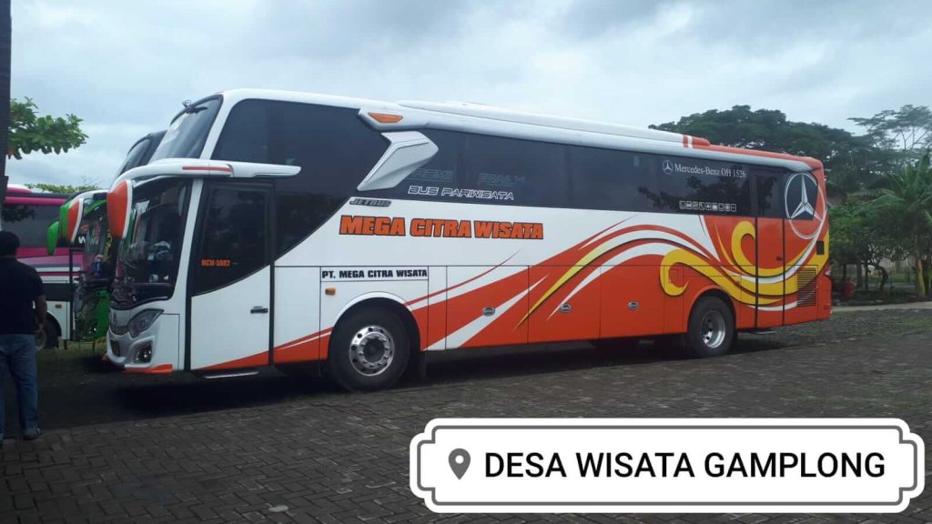 Jenis Bus Pariwisata