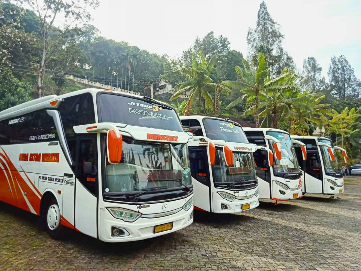 fasilitas bus pariwisata