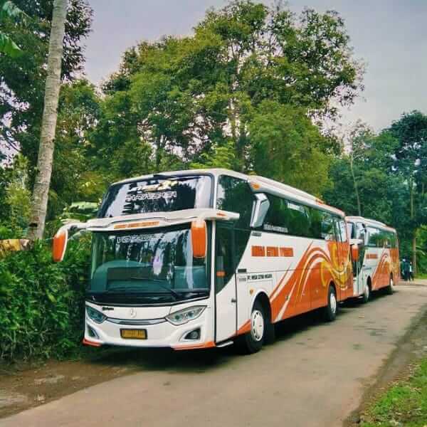 Rental Bus Pariwisata Super Nyaman dengan Fasilitas Lengkap