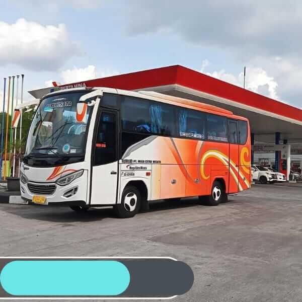 Sewa Bus Medium