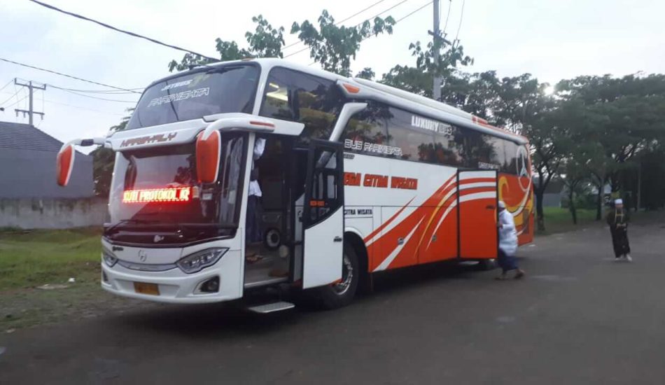 cara memilih penyewaan bus