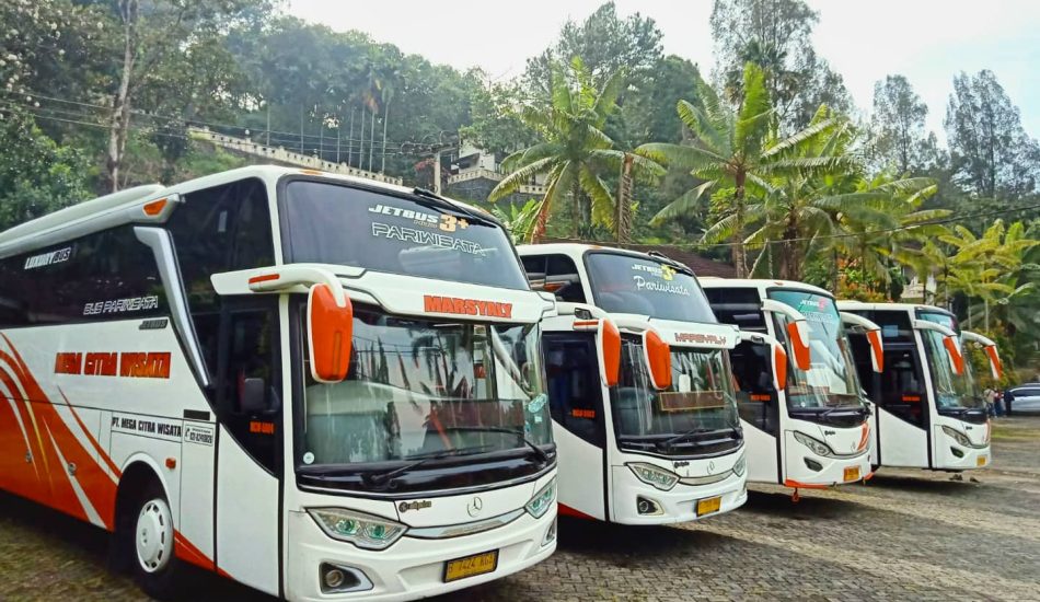 fasilitas bus pariwisata