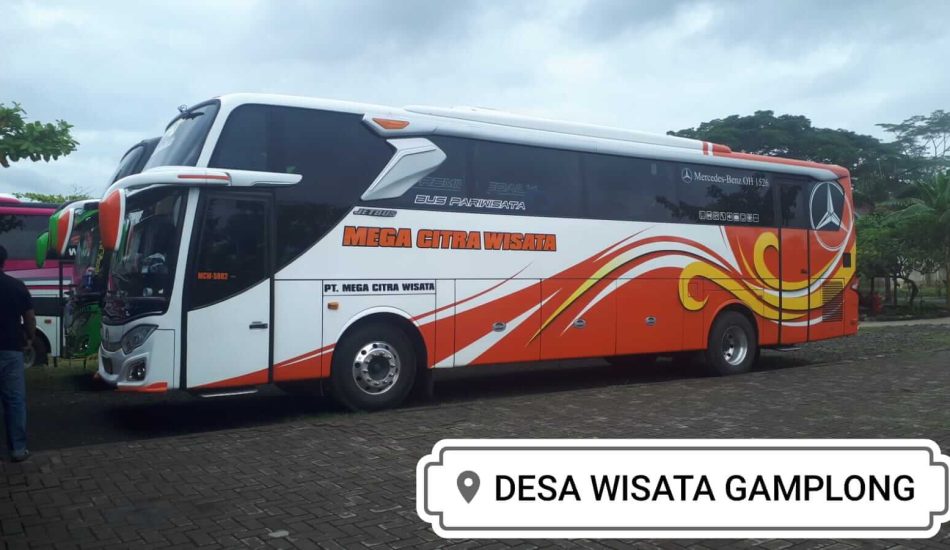 Jenis Bus Pariwisata