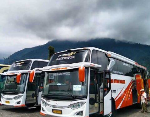 rental bus cikampek